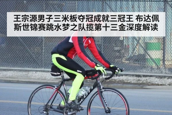 王宗源男子三米板夺冠成就三冠王 布达佩斯世锦赛跳水梦之队揽第十三金深度解读