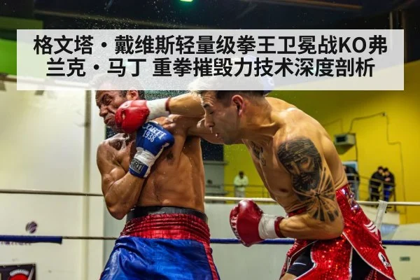 格文塔·戴维斯轻量级拳王卫冕战KO弗兰克·马丁 重拳摧毁力技术深度剖析